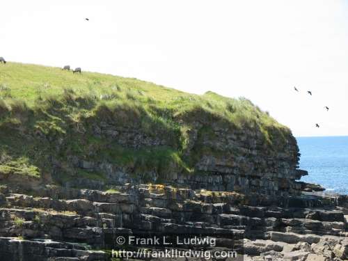 Streedagh Strand